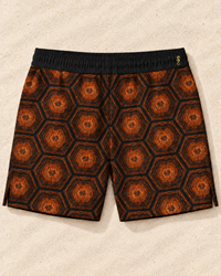 The Octavio in Tartaruga — Back view